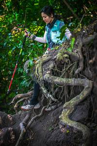 BIB: 
                            <button type="button" onclick="openModal(7104590)" class="btn btn-primary btn-sm float-right btn-popup" data-toggle="modal" data-target=".modal-high-quality">
                        <i class="fas fa-shopping-cart"></i> Add to Cart
                    </button>
                                            <button type="button" onclick="isThisMe(7104590, true)" class="btn btn-success btn-sm float-right btn-popup btn-isme hidden" data-toggle="tooltip" data-placement="bottom" title="นี่คือรูปของคุณใช่ไหม คลิกที่นี่เพื่อเอาเข้าอัลบั้ม">
                        <i class="fas fa-plus"></i> Add to album
                    </button>
                    <button type="button" onclick="isThisMe(7104590, false)" class="btn btn-warning btn-sm float-right btn-popup btn-isnotme hidden">
                        <i class="fas fa-ban"></i> Remove from album
                    </button>